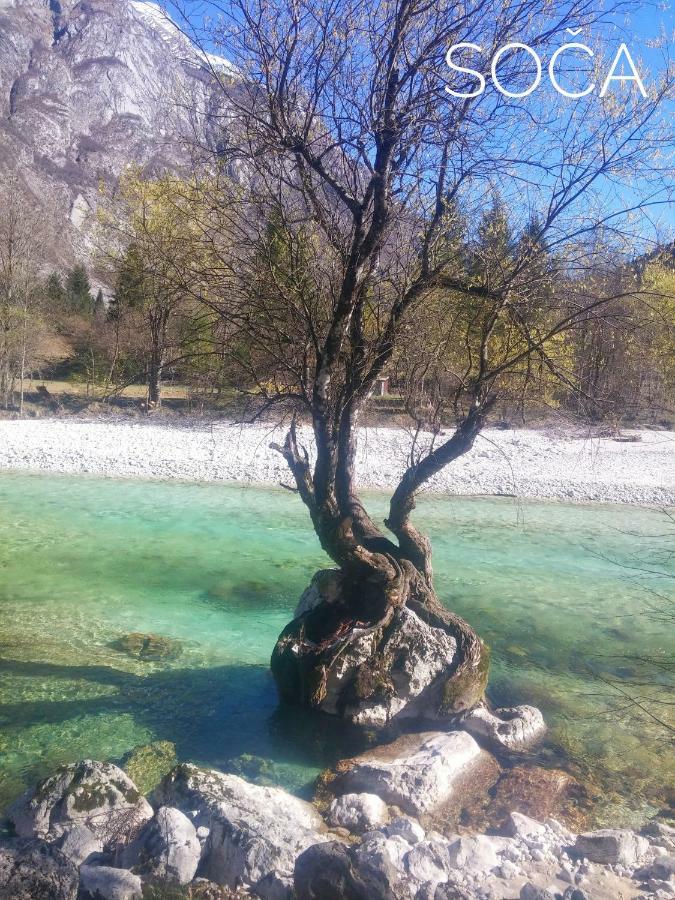 Appartamento Apartma Kukc Bovec Kal-Koritnica Esterno foto