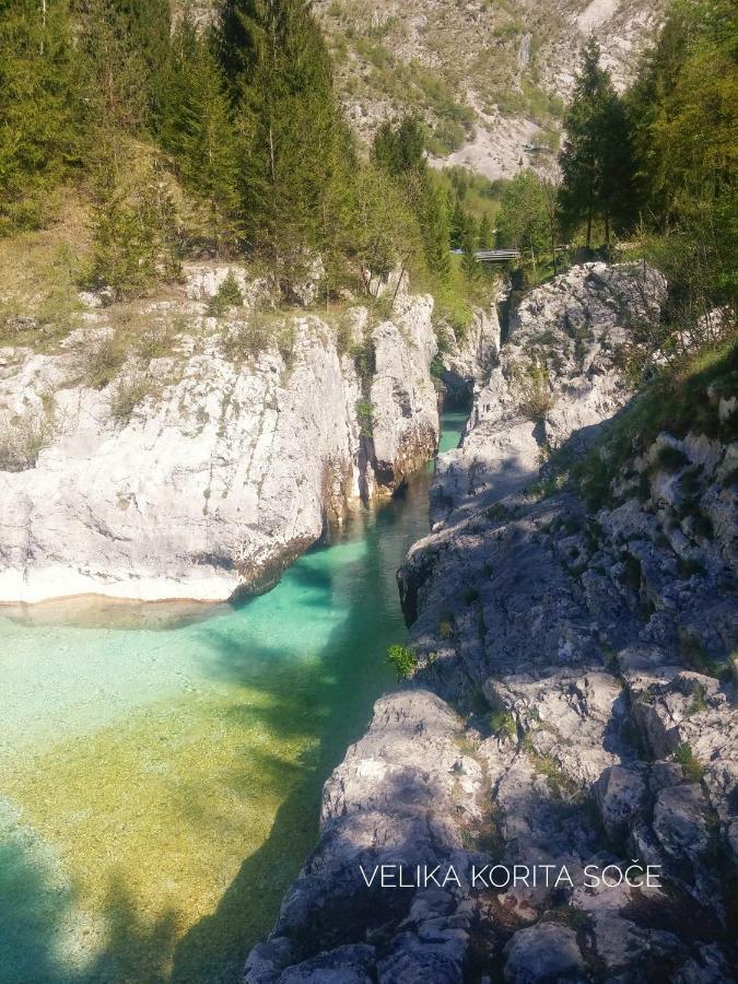 Appartamento Apartma Kukc Bovec Kal-Koritnica Esterno foto